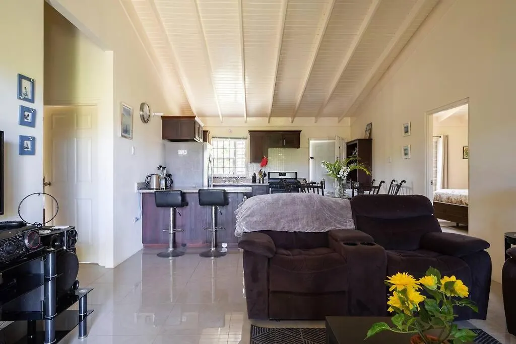 Island Bliss Villa Drax Hall Ocho Rios