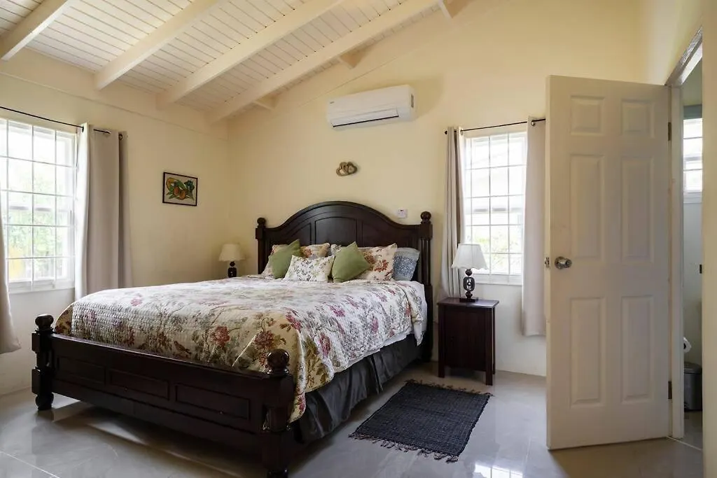 Island Bliss Villa Drax Hall Ocho Ríos 0*,
